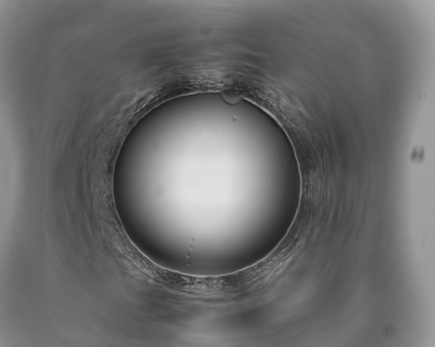 X0000090471201200707201347