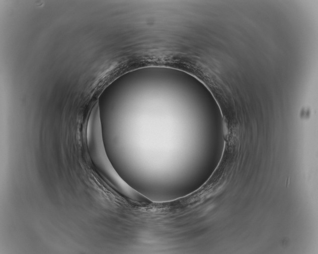 X0000090471202200707201347