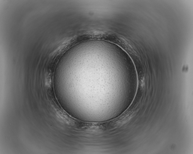 X0000090471204200707201347