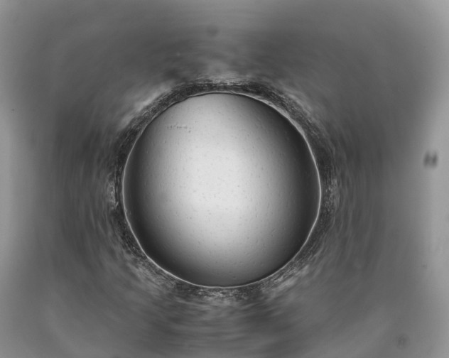 X0000090471205200707201348