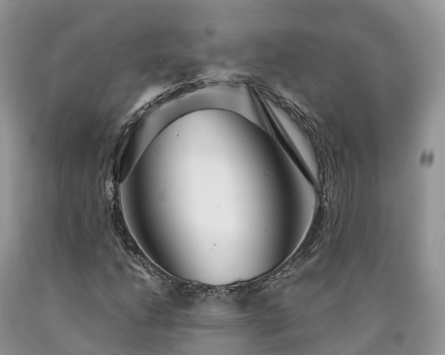 X0000090471206200707201348