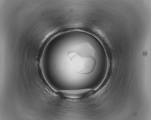 X0000090471210200707201348