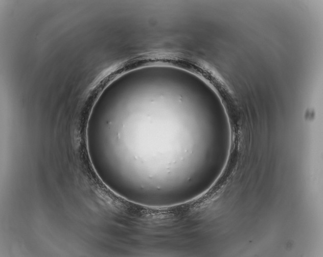 X0000090471213200707201348
