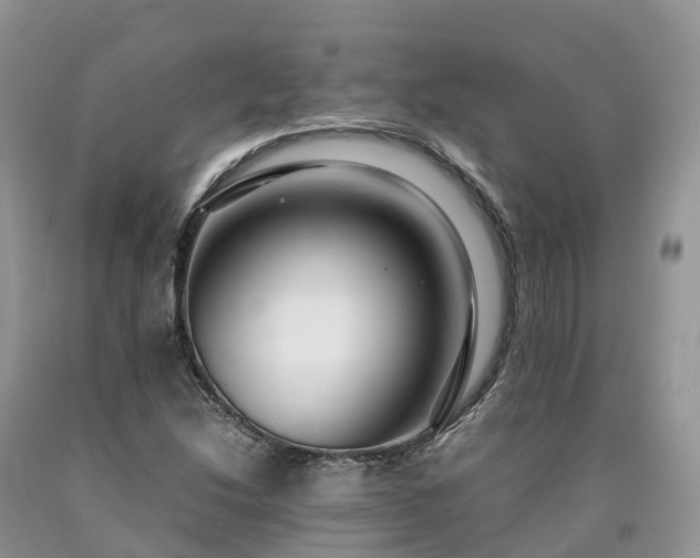 X0000090471214200707201348