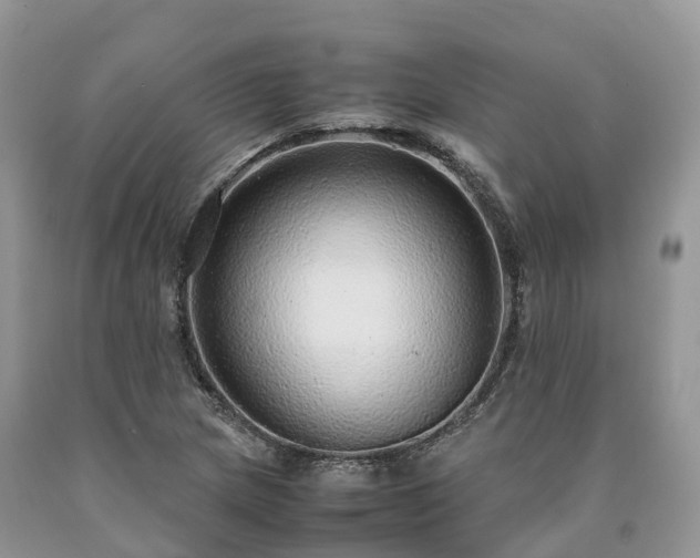 X0000090471217200707201348