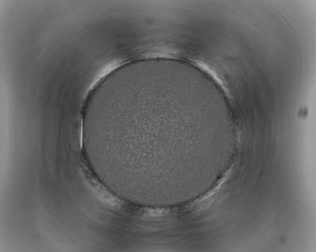 X0000090471219200707201348