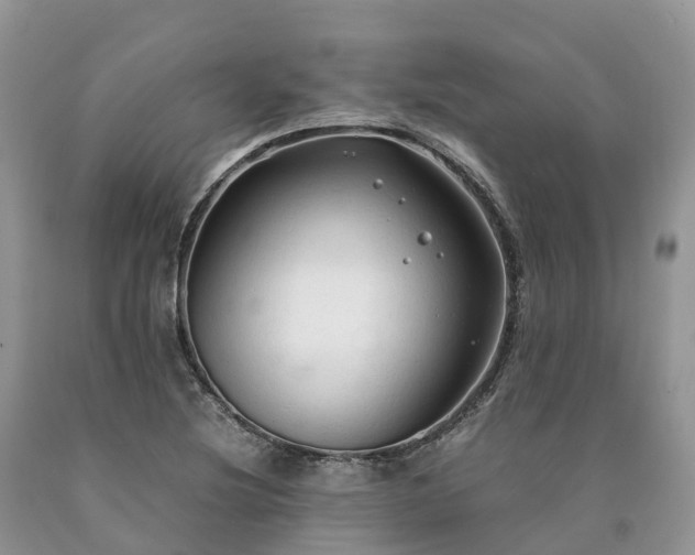 X0000090471220200707201348