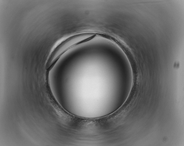 X0000090471222200707201348