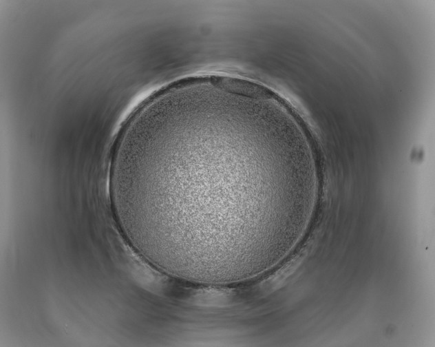 X0000090471224200707201348