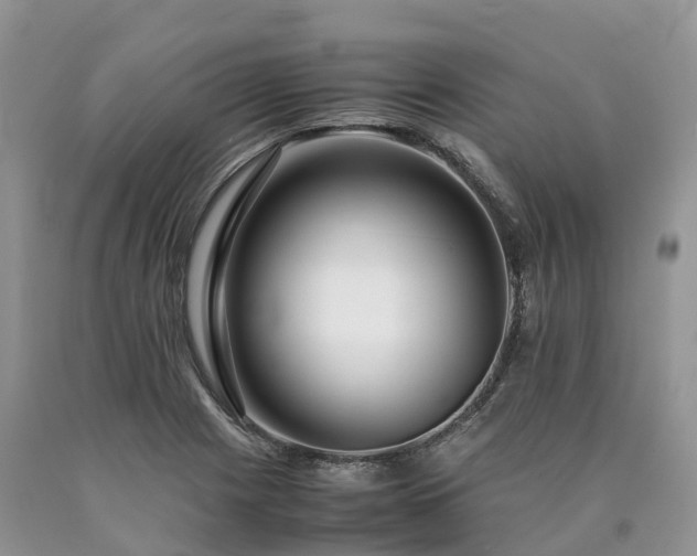 X0000090471225200707201348