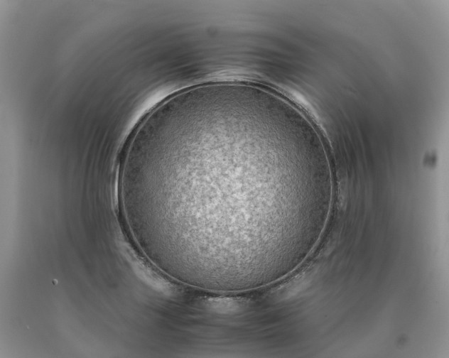 X0000090471227200707201348