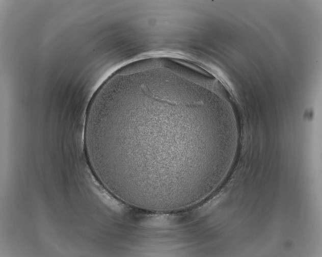 X0000090471228200707201348