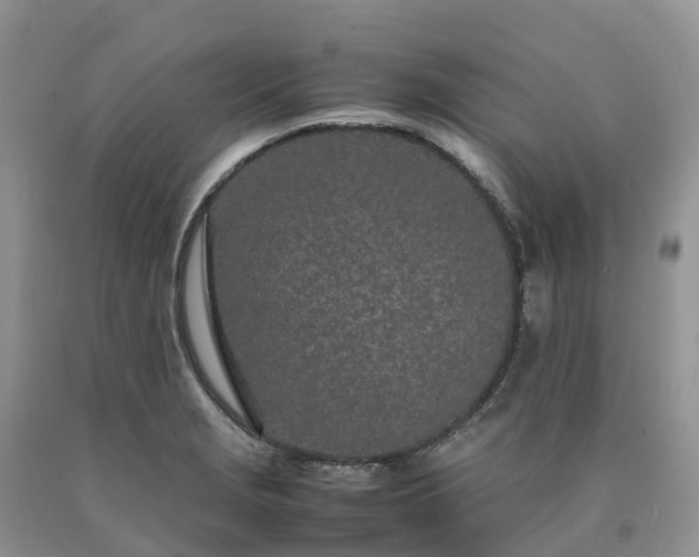 X0000090471229200707201348