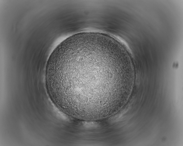 X0000090471231200707201348