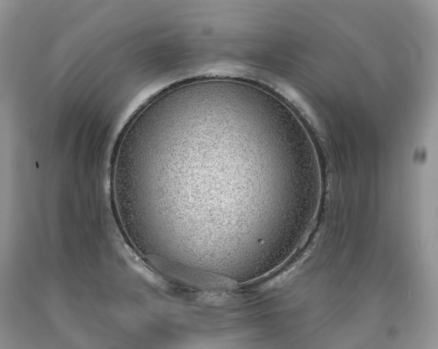 X0000090471232200707201348