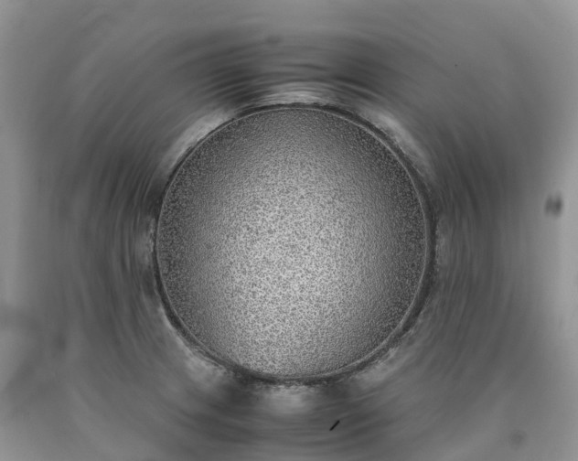 X0000090471233200707201348