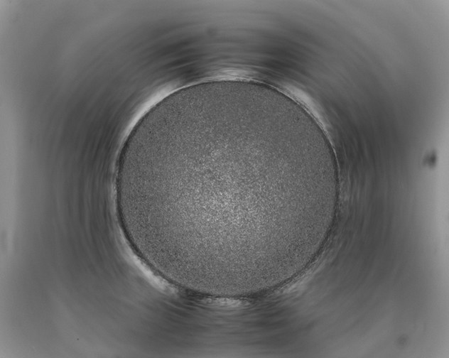 X0000090471235200707201348