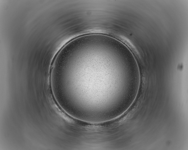 X0000090471236200707201348