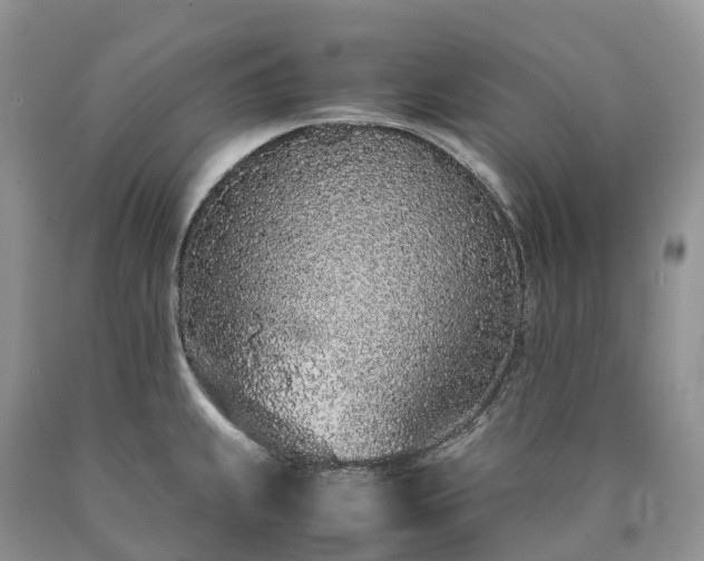 X0000090471239200707201348