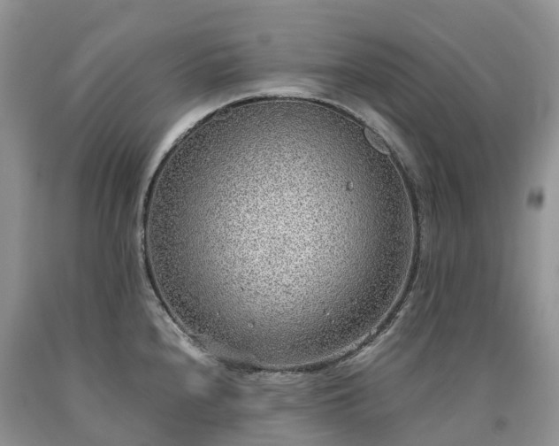 X0000090471240200707201348
