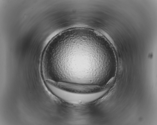 X0000090471245200707201348