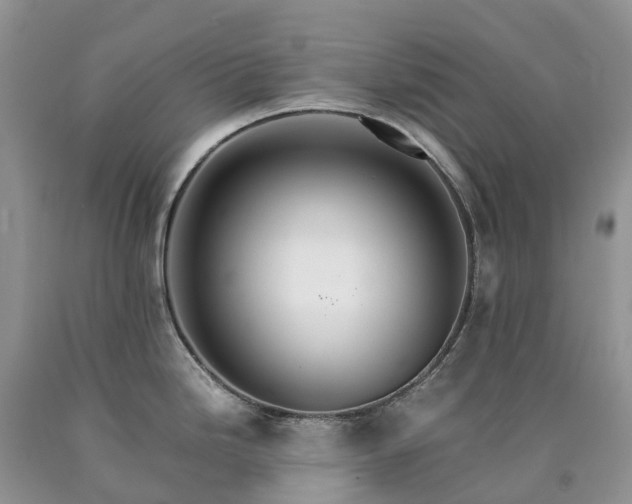X0000090471246200707201348