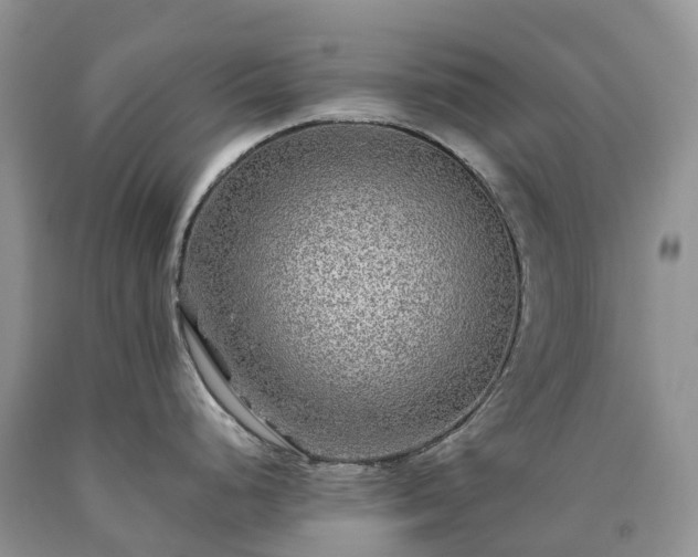 X0000090471248200707201348