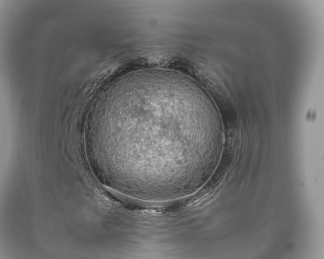 X0000090471249200707201347