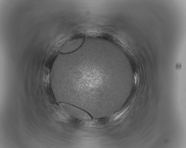 X0000090471251200707201347