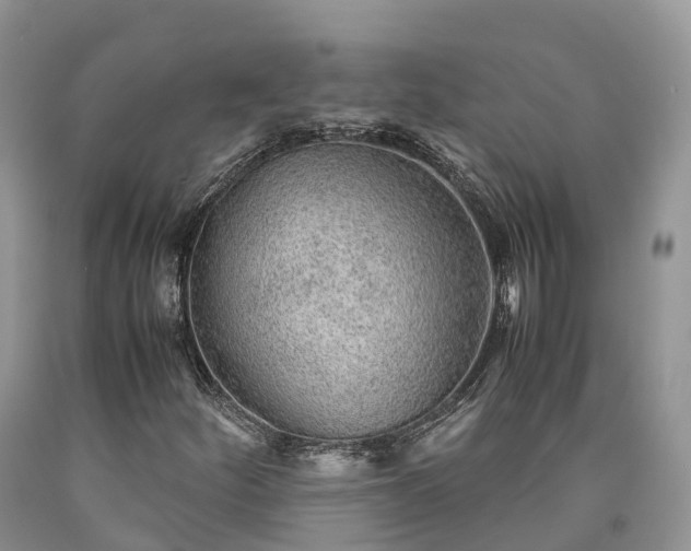 X0000090471252200707201347