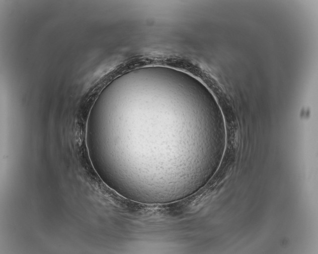 X0000090471253200707201347
