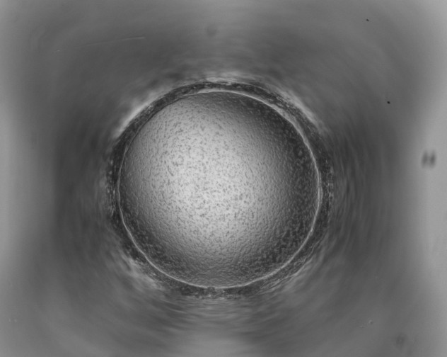 X0000090471256200707201347