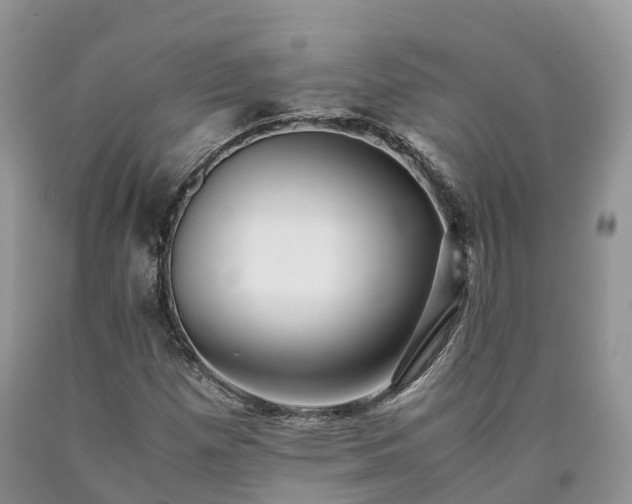 X0000090471257200707201347