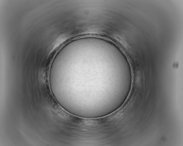 X0000090471258200707201347