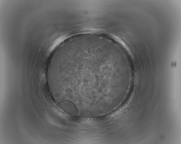 X0000090471259200707201347