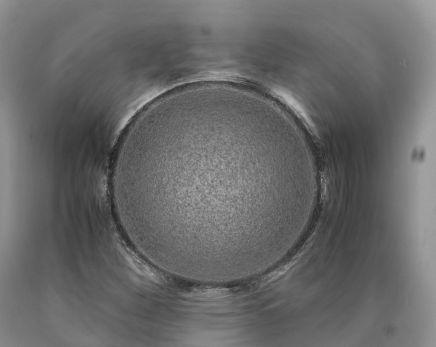 X0000090471260200707201347