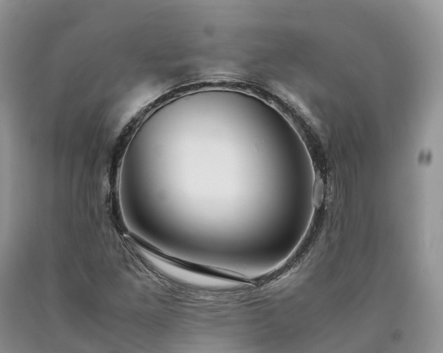 X0000090471261200707201347