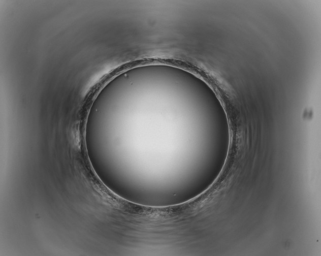 X0000090471262200707201347