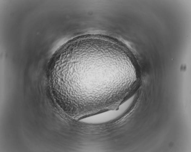 X0000090471263200707201347