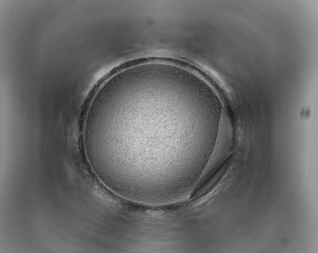 X0000090471264200707201347