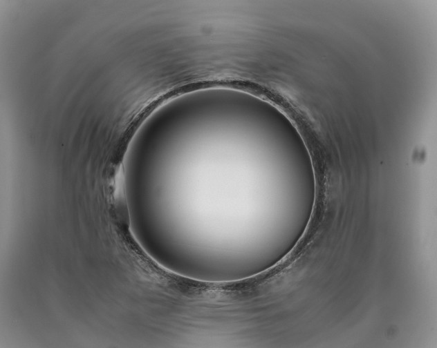 X0000090471265200707201347