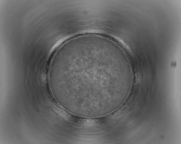 X0000090471266200707201347
