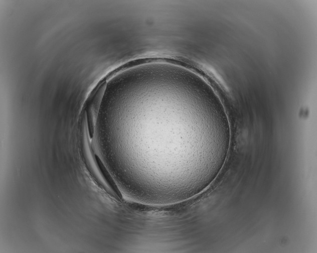 X0000090471268200707201347