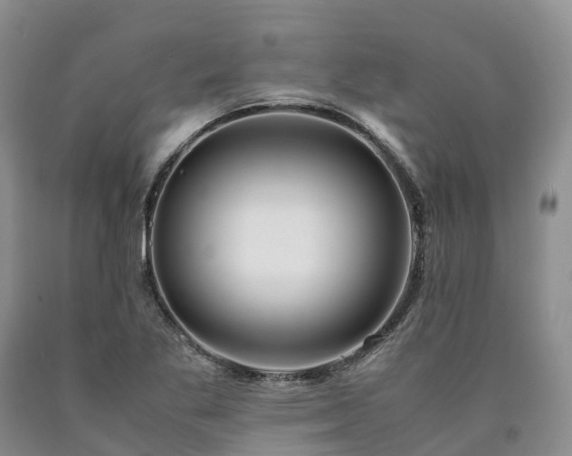 X0000090471269200707201347