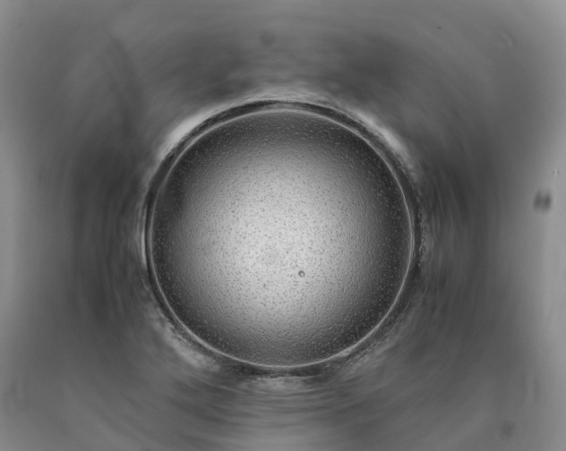 X0000090471272200707201347