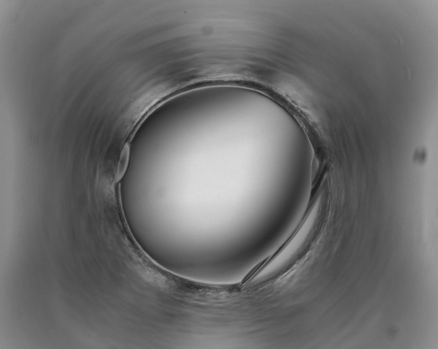 X0000090471273200707201347