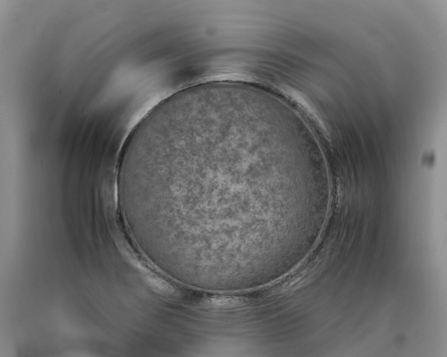 X0000090471274200707201347