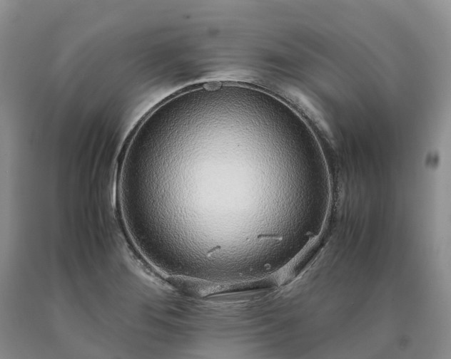 X0000090471276200707201347