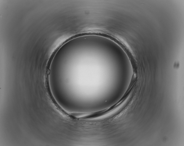 X0000090471277200707201347