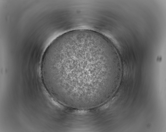 X0000090471278200707201347